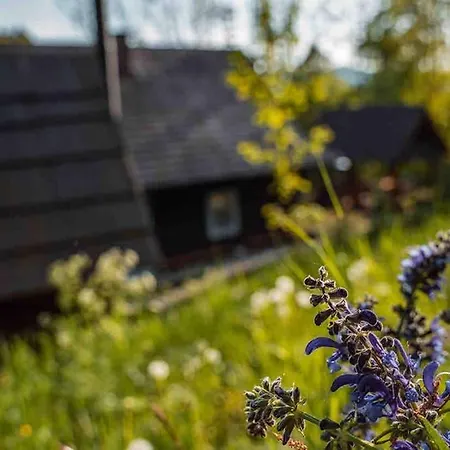 Chalet Zbojnicke Chalupky *