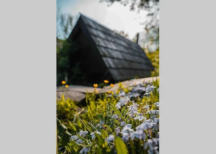 Zbojnicke Chalupky * Čavoj