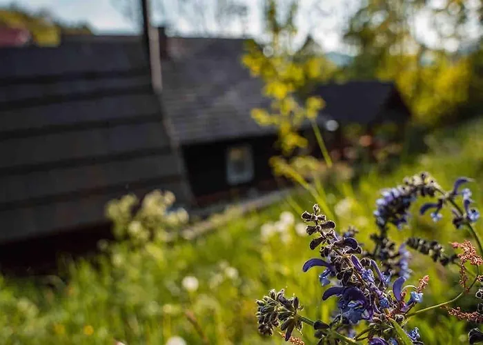 シャレー Zbojnicke Chalupky *